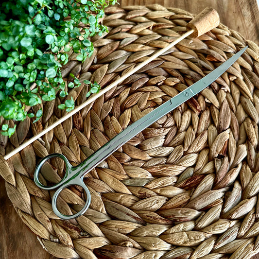 Terrarium Scissors (Curved 25cm) & Stomper Cork